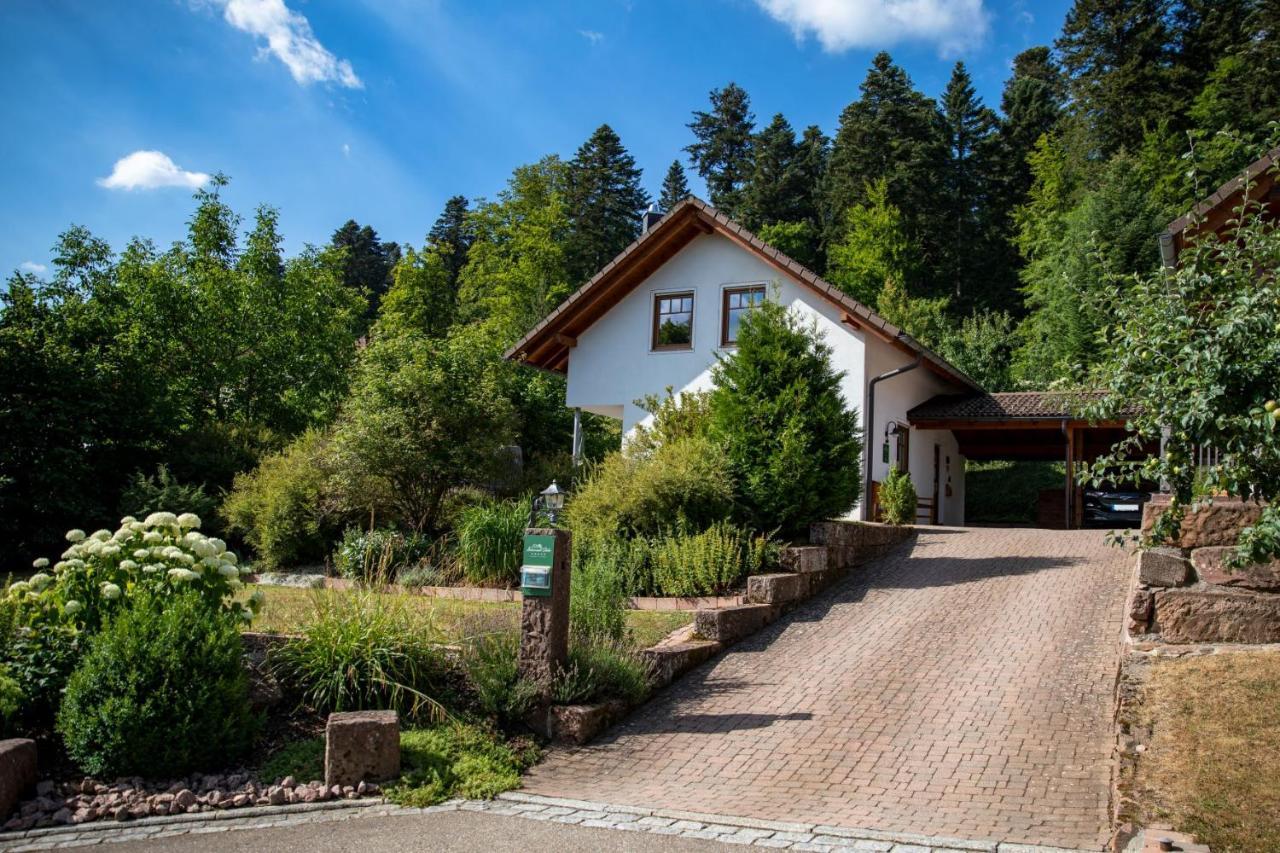 Schwarzwald Chalets Freudenstadt Eksteriør billede